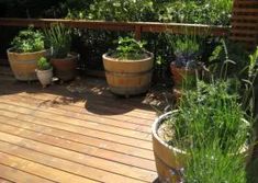 several potted plants on a wooden deck