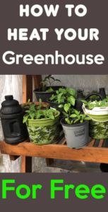 a shelf filled with potted plants and text overlay that reads how to heat your greenhouse for free