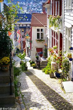 a cobblestone street lined with houses and potted plants