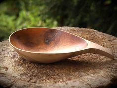 a wooden spoon sitting on top of a tree stump