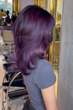 Magenta Brunette Hair, Plum Hair Streaks, Violet Hair Ideas, Global Grape Hair, Overtone Purple On Brown Hair, Purple On Brown Hair No Bleach, Purple On Light Brown Hair, Grape Color Hair, Pelo Morado Aesthetic