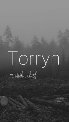 a black and white photo with the words torryn written in cursive font