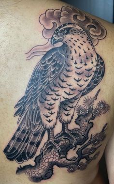 a tattoo on the back of a man's shoulder with an eagle sitting on a tree branch