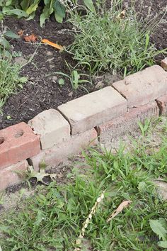 a cat is sitting in the grass near a brick wall