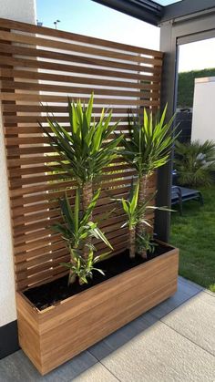 two plants are in a wooden planter on the side of a building with grass