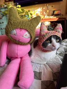 a black and white cat wearing a knitted hat next to a pink stuffed animal