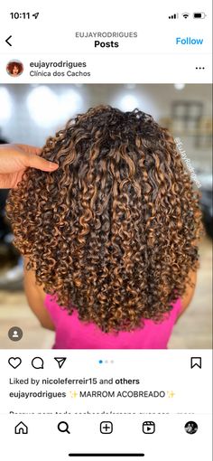 Ginger Brown Highlights Curly Hair, Partial Highlights Natural Hair, Mixed Curly Hair Highlights, 3c Highlights, Honey Brown Curls With Highlights, Ginger Highlights Curly Hair, Curly Hair Copper Highlights, Highlights For Curly Hair Natural Curls Ombre Dark Brown, Lowlights Curly Hair