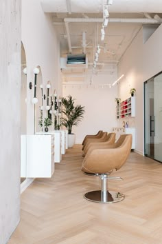 an empty room with chairs and plants in the corner on either side of the wall