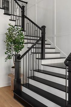 a black and white staircase with a potted plant