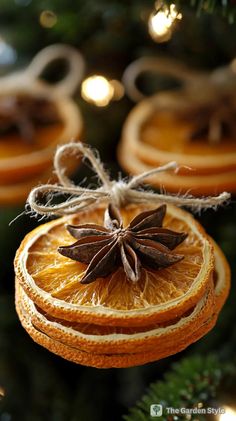 an ornament made out of orange slices and star anise on the tree