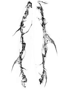 an ink drawing of two branches on a white background