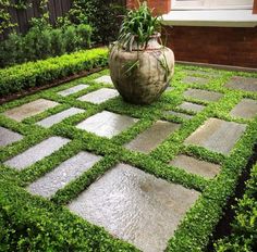 a large potted plant sitting on top of a grass covered ground in front of a house