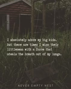 an old swing in the middle of some tall grass with a quote on it that says i absolutely adore my big kids, but there are times i miss their little