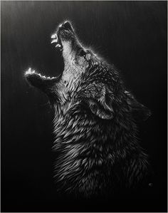 a black and white photo of a wolf with the words lone here ii