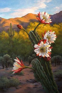 a painting of a cactus with flowers in the foreground