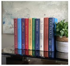 a row of books sitting on top of a table next to a potted plant