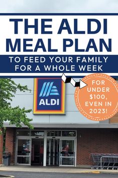 Cheap Aldi Shopping List Ideas Budget Meal Planning 2023, 2023 Budget Meals, Aldi Meal Plan 2023, 2023 Grocery Budget, Gluten Free Aldi Meal Plan, Aldi Meal Plan Family Of 4, Aldi Healthy Meal Plan, Aldi Meal Plan Families, Aldi Meal Plan For Two