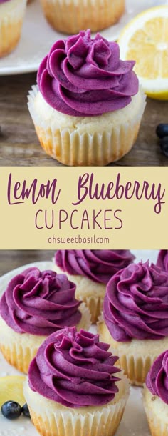 lemon blueberry cupcakes with purple frosting on top