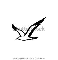 a black and white image of a bird flying in the sky with it's wings spread