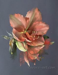 a painting of a pink flower on a gray background