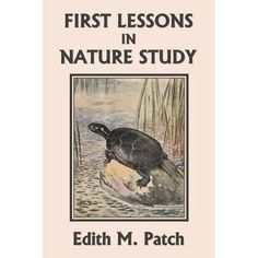 the first lessons in nature study book with an image of a turtle on top of a rock