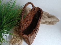 a brown basket sitting next to a green plant on top of a white wall with burlap