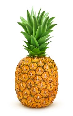 a pineapple is shown on a white background