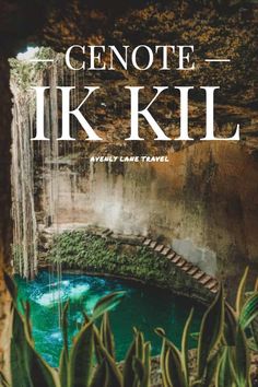 a book cover with the title genote - i k kill written in white and surrounded by succulent plants