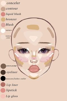 Places To Put Makeup On Face, Makeup Placement Face Chart, Makeup For Face Type, Makeup Layout On Face, Where To Place Makeup On Face, Where To Put Makeup On Face, Makeup Map, Makeup Placement Face, Makeup Placement