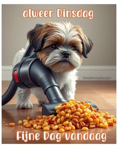 a small dog is playing with food on the floor and has its head in a hair dryer