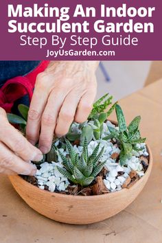 Succulent dish gardens are fun to make. Here's an indoor succulent garden DIY & as well as a succulent dish garden DIY. These indoor succulent garden ideas give you indoor succulent garden design. Find out how to make a succulent dish garden along with indoor succulent garden ideas decor. These succulent dish garden ideas are great for an indoor succulent garden table. Learn how to make succulent arrangements here. #succulentsforbeginners #succulenthomedecor Indoor Succulent Garden Ideas, Dish Garden Ideas, Succulent Diy Ideas, Succulent Dish Garden, Indoor Succulent Garden, Plants 101, Gardening On A Budget, Cactus Landscape