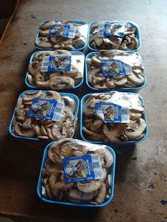 several trays of mushrooms sitting on top of a table