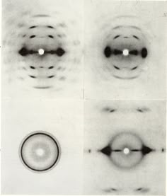 four different views of the same object in black and white, each with an eyeball