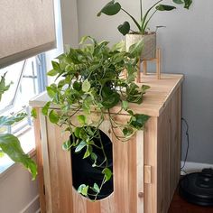 a wooden cabinet with plants in it next to a window