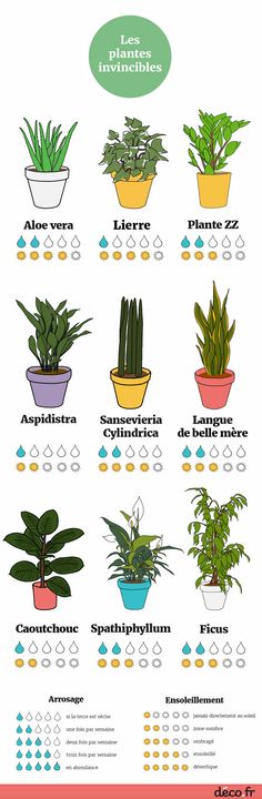 a poster showing different types of house plants