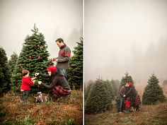 two pictures of people picking out christmas trees in the woods, one is holding an infant