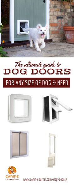 the ultimate guide to dog doors for any size of dog and need