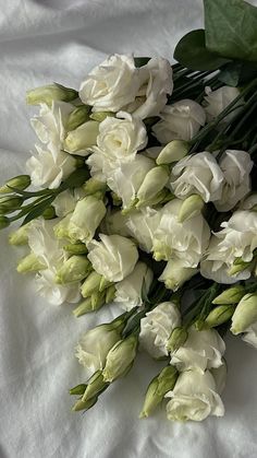 a bunch of white flowers laying on top of a bed