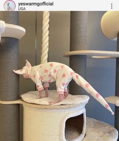 a toy dog is standing on top of a cat tree in a room filled with scratching posts