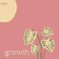 a plant with the words growth on it