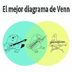 the venn diagram has two circles with animals playing musical instruments and an animal sitting on a piano