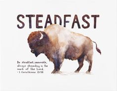 a watercolor painting of a bison with the words steadfast