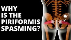 an image of the back of a skeleton with text that says, why is the piriformis spamming?