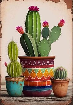 three potted cactus plants sitting next to each other on top of a wooden table