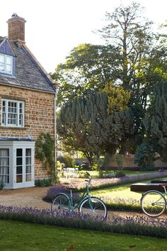 two bicycles parked in front of a house with lavender flowers around the yard and trees