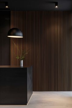 a black counter with a plant in it next to a wooden wall and lights on the ceiling