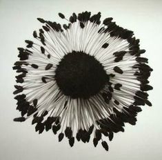 a black and white photo of a dandelion in the middle of it's petals