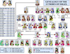 a family tree is shown with many people in different ages and nationalitiess, including the jewish