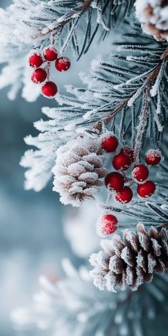 Winter Samsung Wallpaper, Winter Screen Wallpaper, Snowy Fall Wallpaper, All Seasons Wallpaper, Beautiful Winter Wallpaper, Fall Winter Wallpaper Iphone, Bright Winter Wallpaper, Fall And Christmas Wallpaper, Festive Season Background