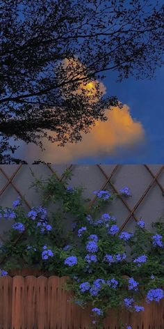 the full moon shines brightly in the night sky behind a fence with blue flowers